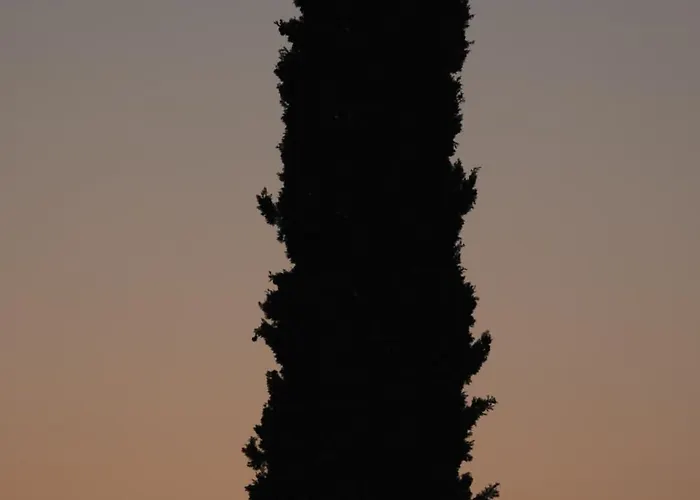 Petroto Sea View Τσουκαλάδες